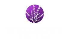 Inwestycja Wrzosowa Polana